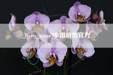 郴州中国消防官方
