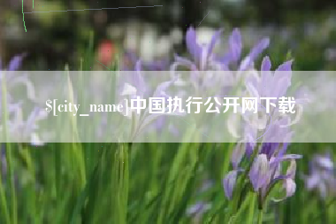 郴州中国执行公开网下载