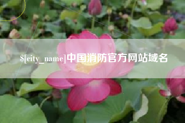 郴州中国消防官方网站域名