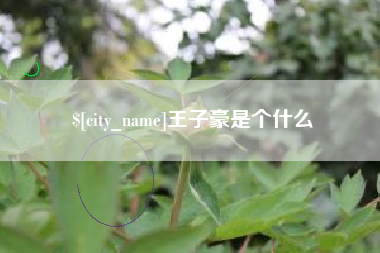 郴州王子豪是个什么