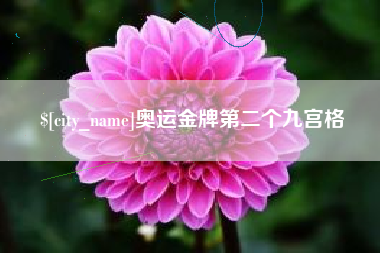 郴州奥运金牌第二个九宫格