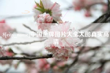 郴州中国金牌图片大全大图真实高清