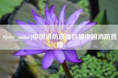 郴州中国消防直播回放中国消防直播