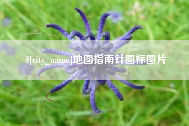 郴州地图指南针图标图片