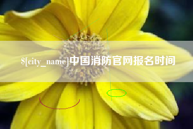 郴州中国消防官网报名时间
