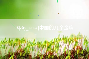 郴州中国的几个金牌