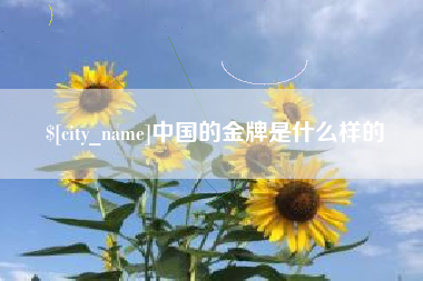 郴州中国的金牌是什么样的