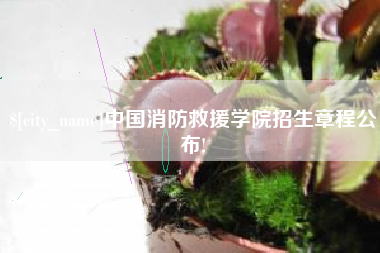 郴州中国消防救援学院招生章程公布!