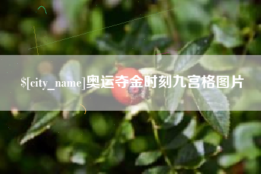郴州奥运夺金时刻九宫格图片
