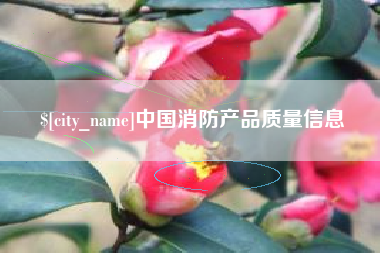 郴州中国消防产品质量信息