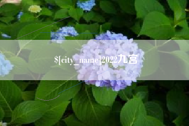 郴州2022九宫