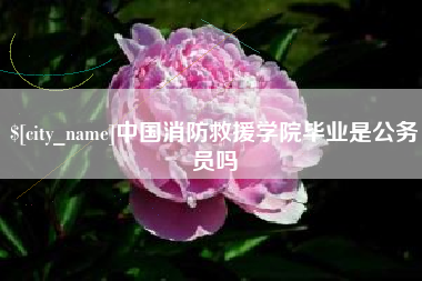 郴州中国消防救援学院毕业是公务员吗