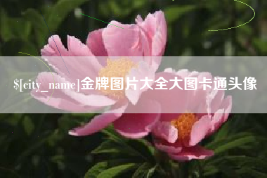 郴州金牌图片大全大图卡通头像