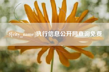 郴州执行信息公开网查询免费