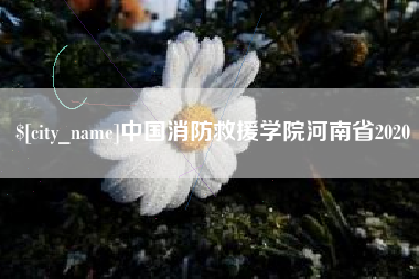 郴州中国消防救援学院河南省2020