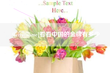郴州看看中国的金牌有多少